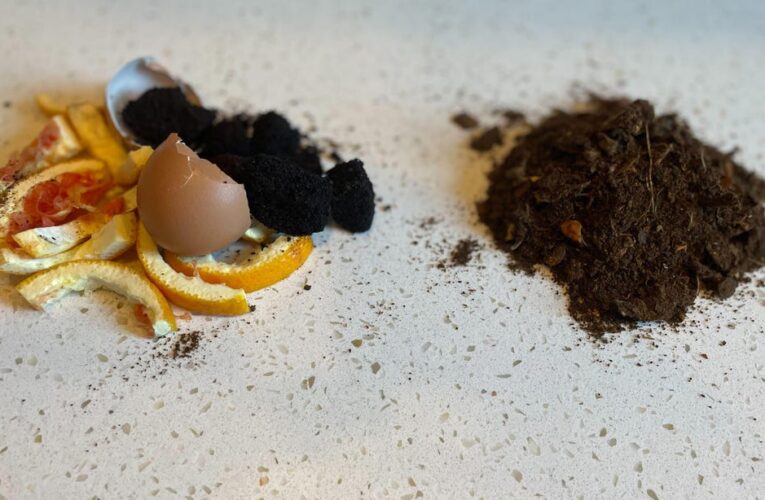 I Tried Mill’s Smart Kitchen Bin That Turns Scraps Into Dirt – Just Don’t Call It Compost     – CNET