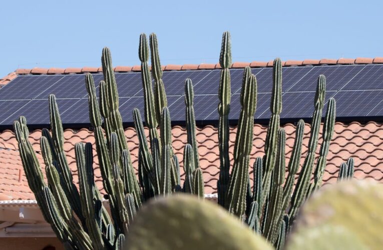 Best Solar Panel Installation Companies in Arizona     – CNET