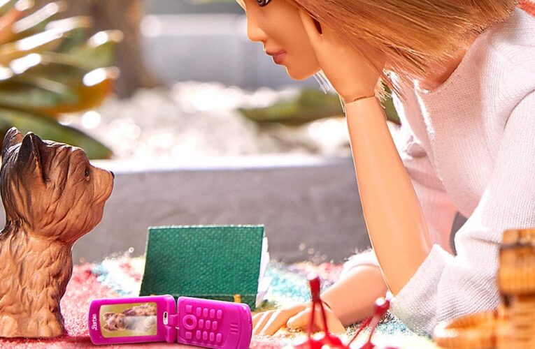 Your Barbie Dream Phone Is About to Become a Reality     – CNET