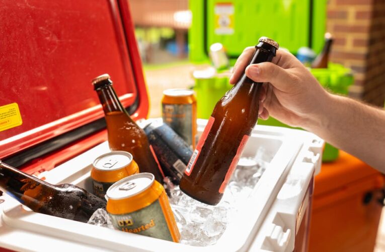 Best Cooler of 2024     – CNET