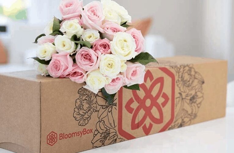 Save 20% on These Last-Minute Valentine’s Day Flowers From BloomsyBox     – CNET