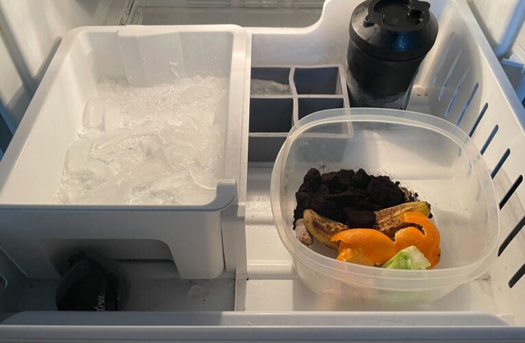 This Easy Trick Makes Composting Way Less Gross     – CNET