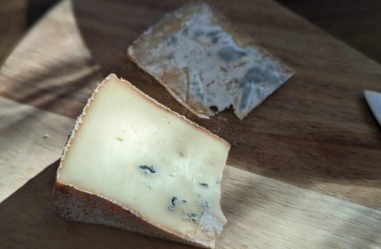 When You Should Throw Out Moldy Cheese, According to an Expert     – CNET