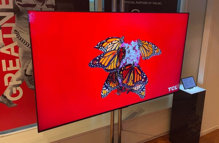 The Most Anticipated TVs of 2024 (You Can Actually Afford)     – CNET