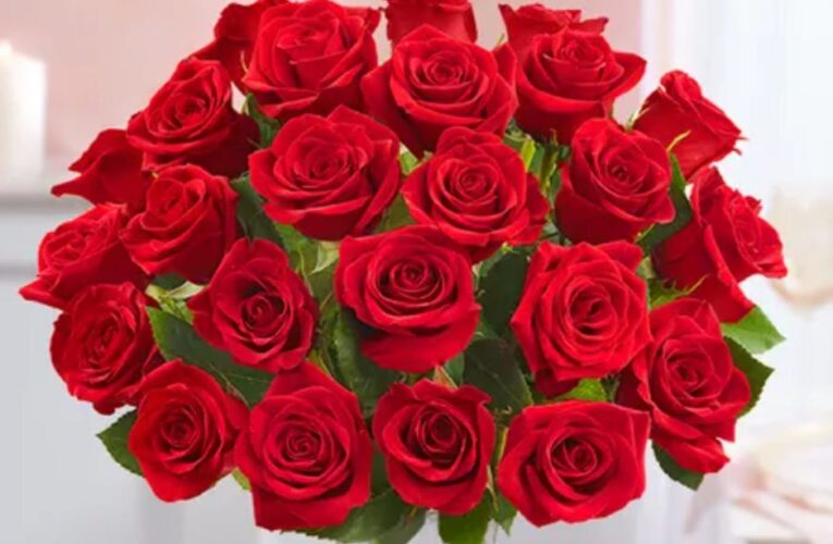 Show Your Love This Valentine’s Day With These Great Discounts on Flowers     – CNET