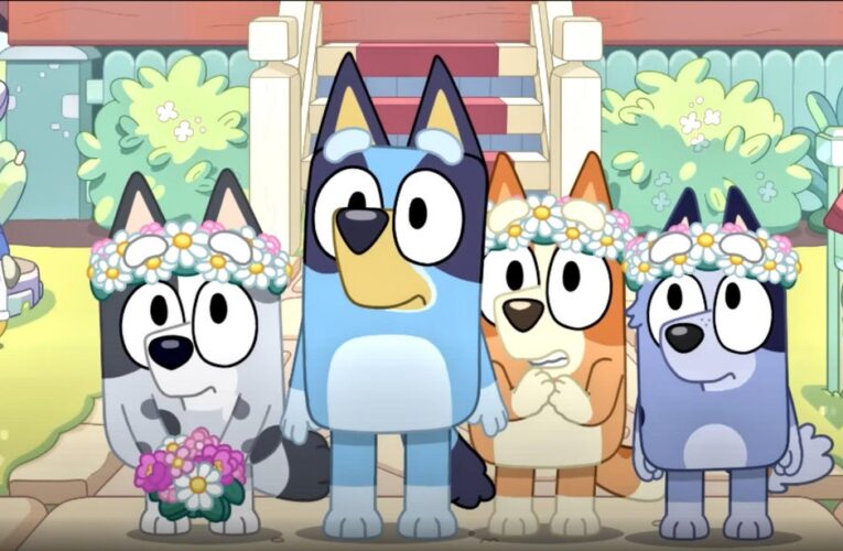 New ‘Bluey’ Special: Release Date and How to Watch ‘The Sign’ From Anywhere     – CNET