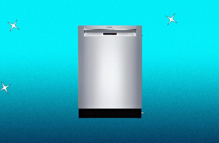 Best Dishwasher of 2024     – CNET