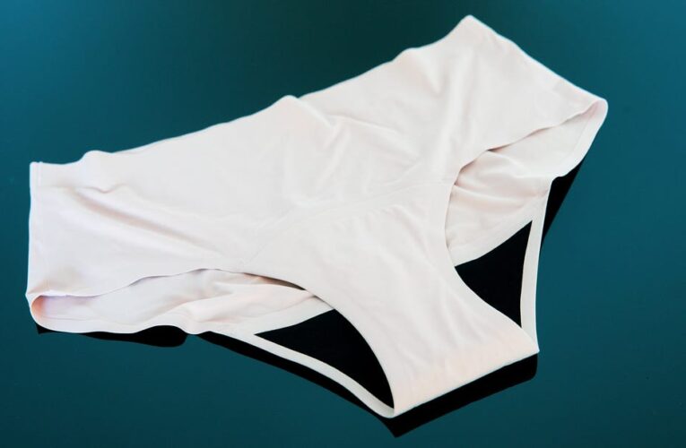 Best Period Underwear for 2024     – CNET