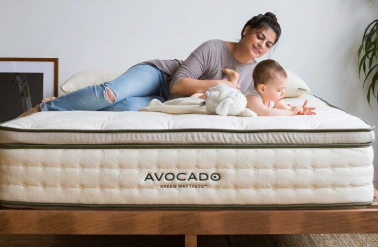 Mattress Certifications: The Top 8 Mattress Seals to Look for When Shopping     – CNET