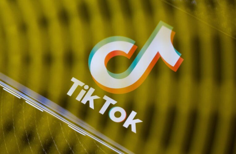 TikTok Could Be Banned Next Year: 5 Alternatives to Fill the Void     – CNET