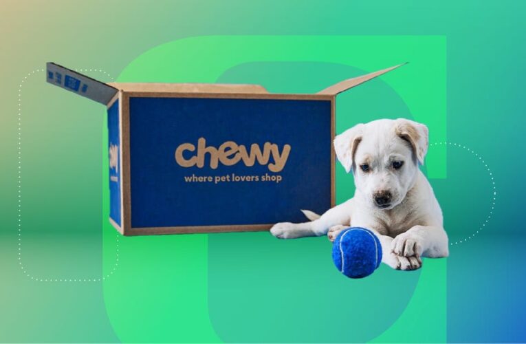 Stock Up on Pet Essentials With These Chewy Deals     – CNET