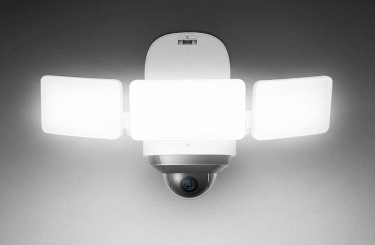 Best Floodlight Home Security Cameras of 2024     – CNET