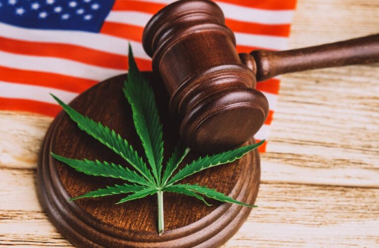 Which States Have Legalized Marijuana for Recreational or Medical Use?     – CNET