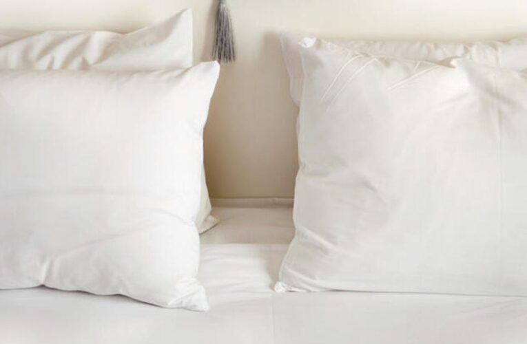 Best Silk Pillowcases for 2024     – CNET