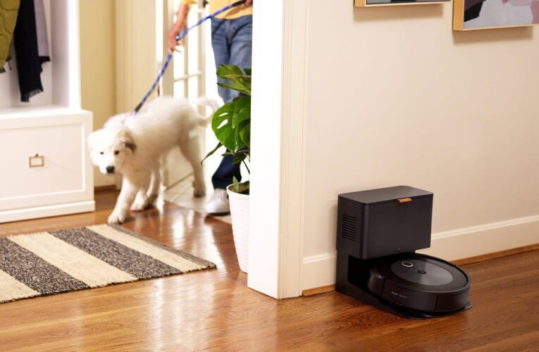 Best Vacuum for Pet Hair for 2024     – CNET