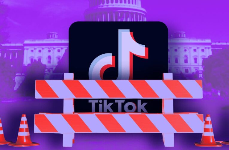 TikTok Sues US Government, Saying a Potential Ban Violates First Amendment     – CNET