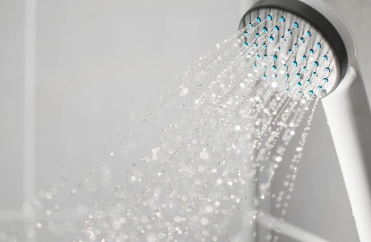 Best Shower Head Filters of 2024     – CNET