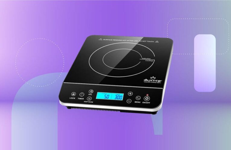 This Portable Induction Cooktop Burner Kept My Family From Starving During Our Kitchen Remodel