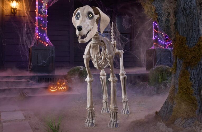 Home Depot’s 12-Foot Skeleton Adds a Doggy Friend to His Spooky Universe